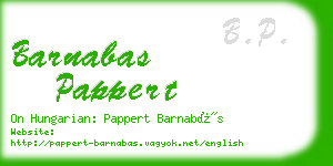 barnabas pappert business card